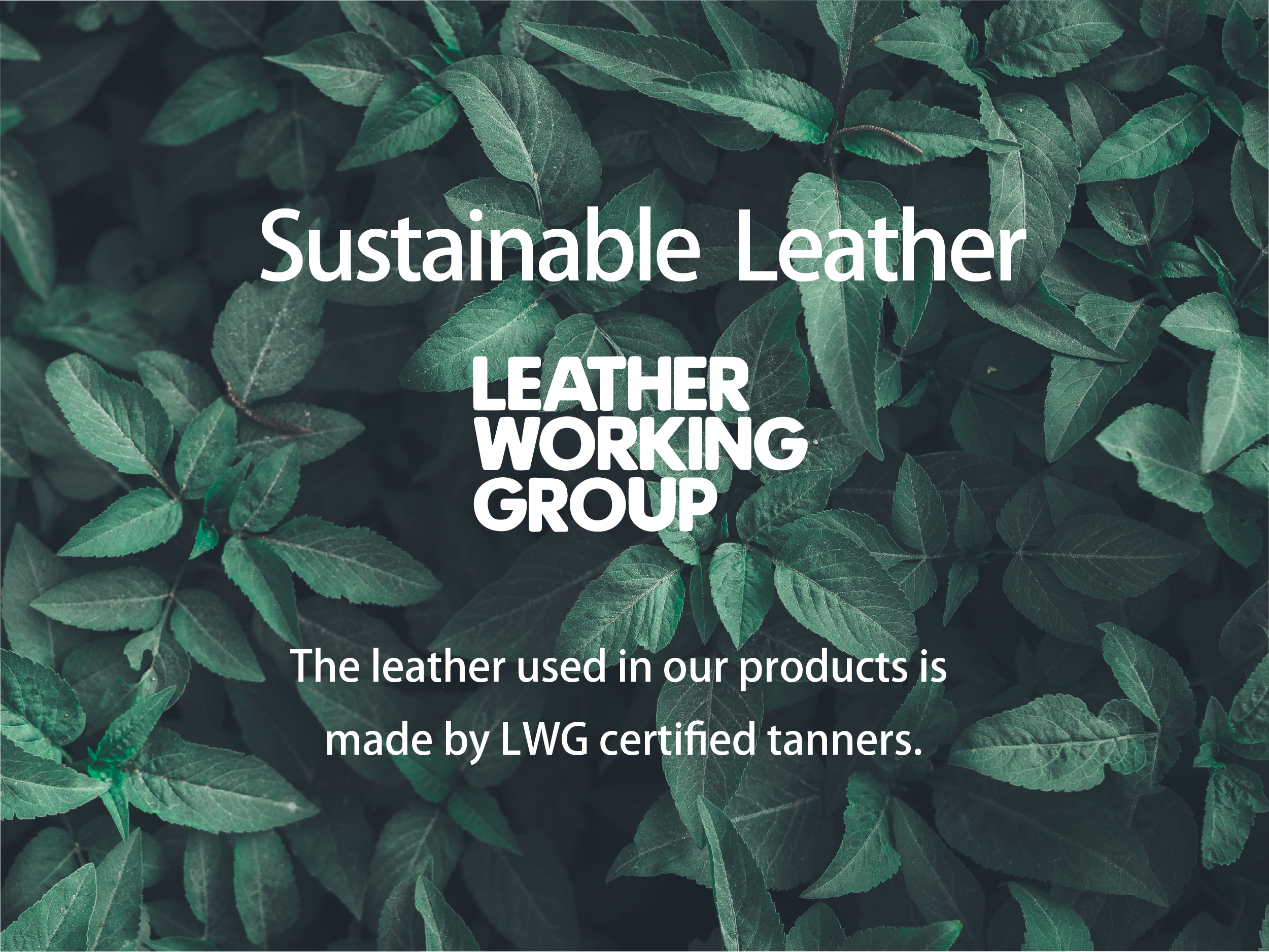sustainable_leather_gazo.png